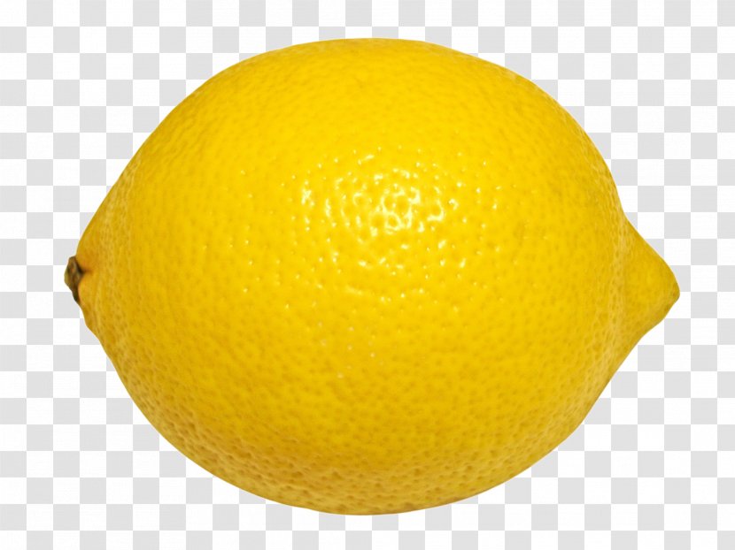 Lemon Yellow Orange Grapefruit - Meyer - A Transparent PNG