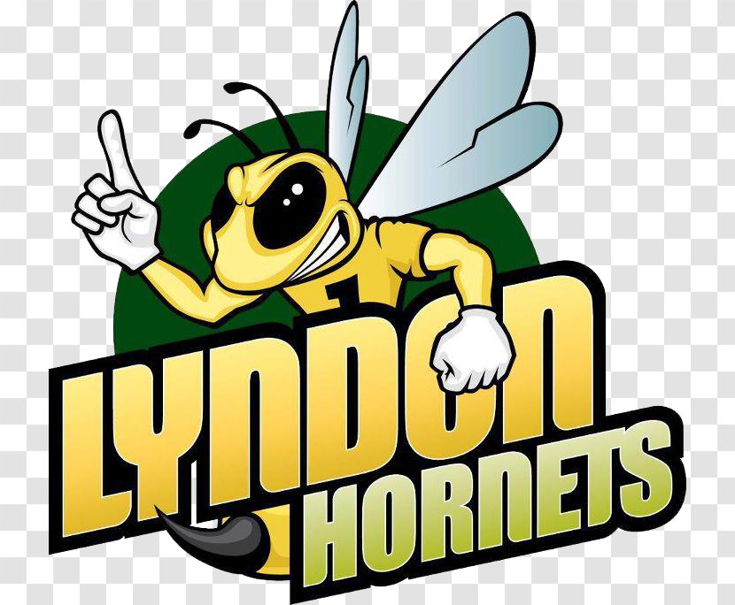 Lyndon State College Hornets Men's Basketball Connecticut North Atlantic Conference Amherst - Recreation Transparent PNG