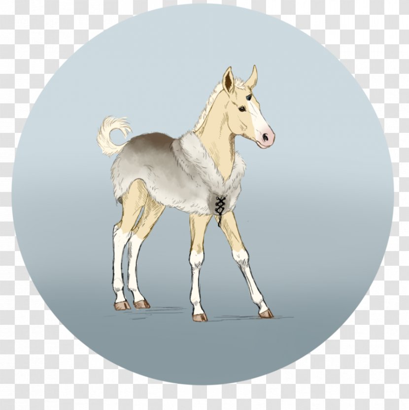 Foal Mustang Colt Stallion Mare - Tail Transparent PNG