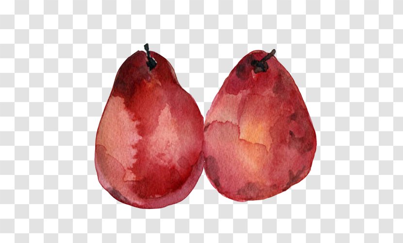 Pear Watercolor Painting Fruit - Free Hand Rotten Pears Pull Material Transparent PNG