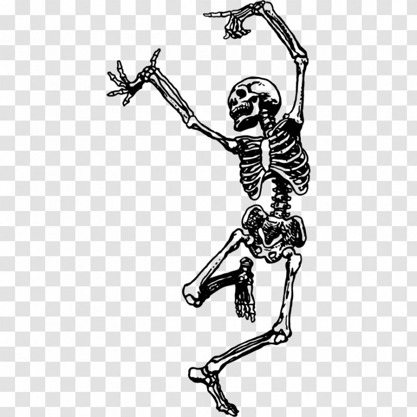 Skeleton Dance Skull Drawing Bone - Festival Transparent PNG