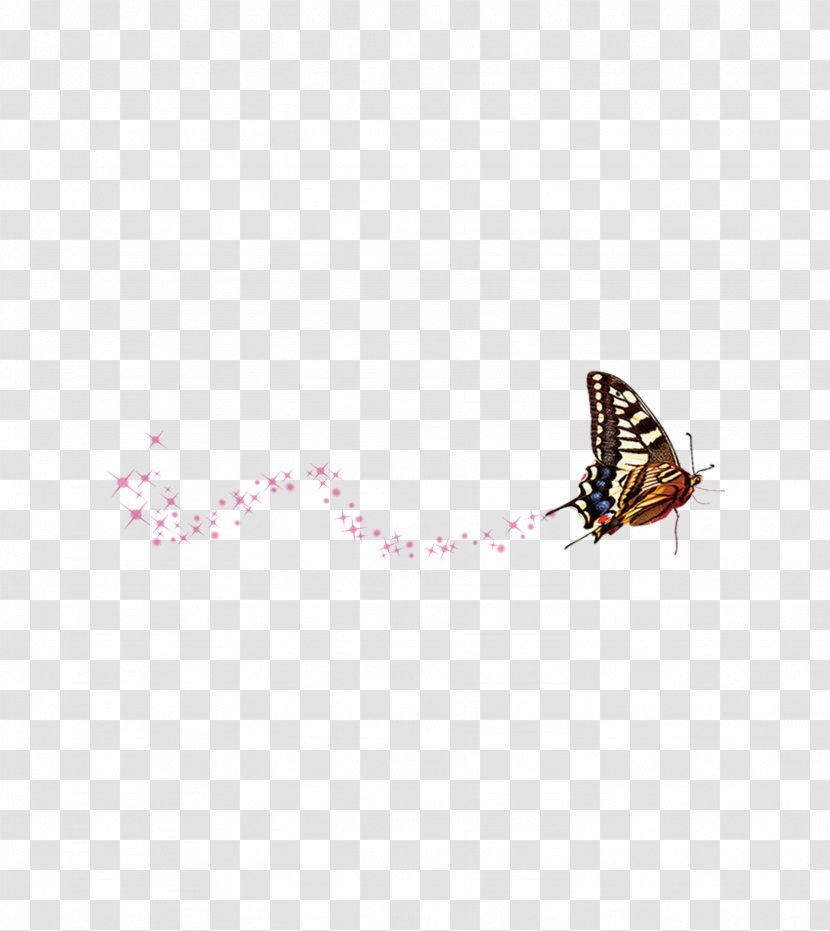Butterfly Flower Pattern - Pollinator Transparent PNG