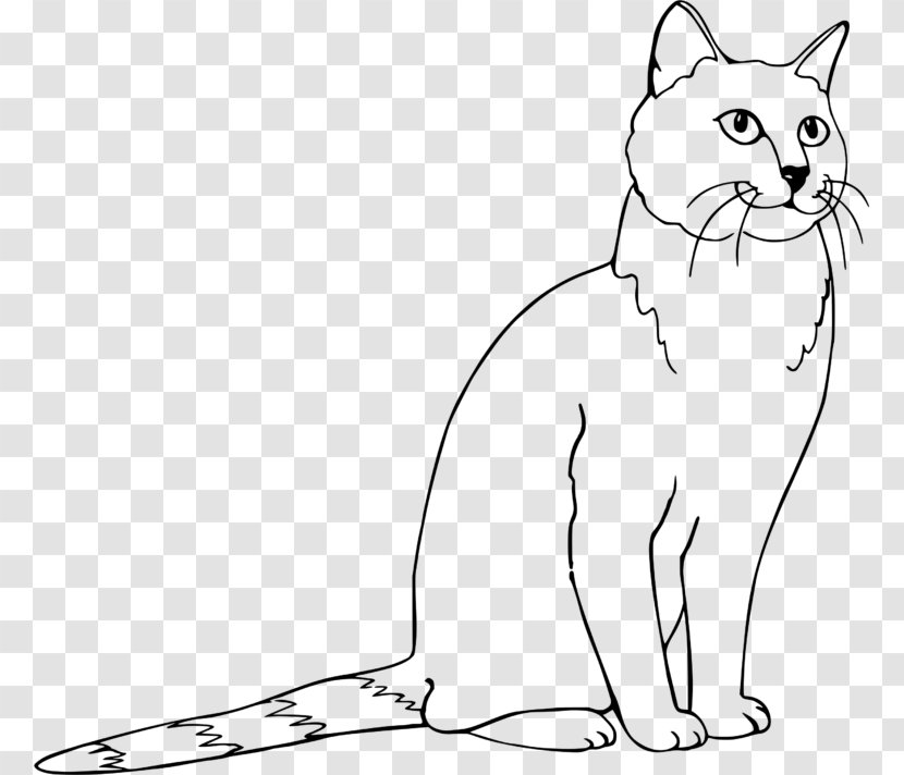 Whiskers Kitten Wildcat Domestic Short-haired Cat - Mammal Transparent PNG