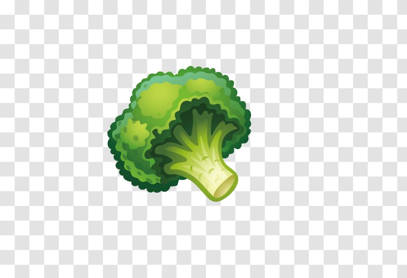 Vegetable Fruit Child Cauliflower Broccoli - Preserves - Fresh Transparent PNG