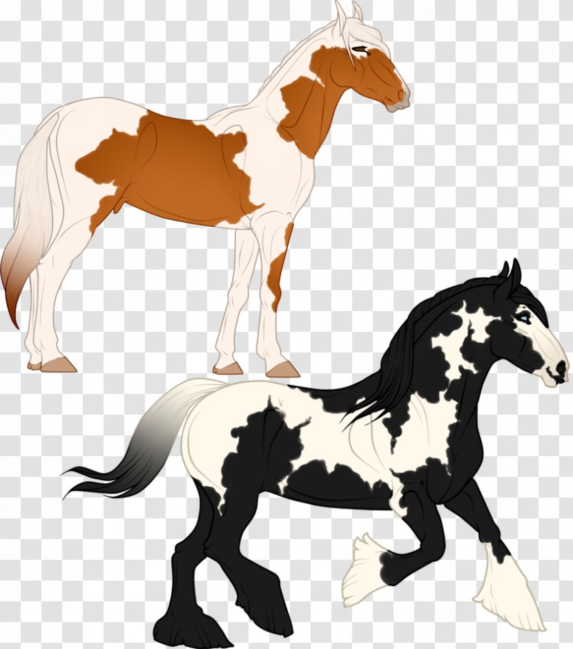 Mustang Foal Pony Stallion Colt - Horse Tack Transparent PNG