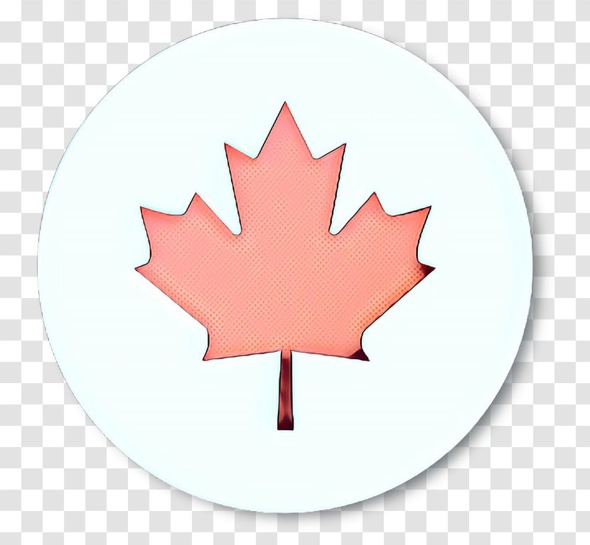 Canada Maple Leaf - National Symbols Of - Symbol Plane Transparent PNG