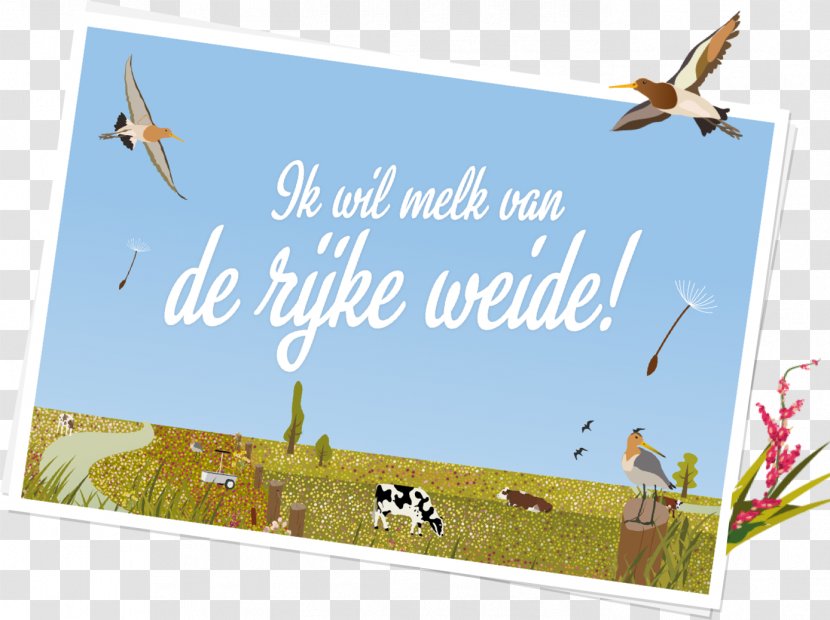 BirdLife Netherlands Weelde Wet Milieubeheer News Vogelbescherming Transparent PNG