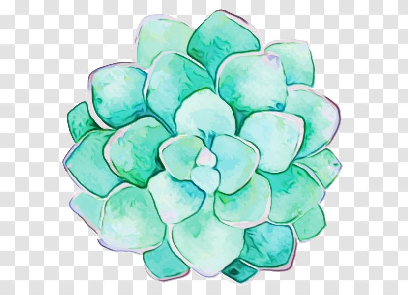 Watercolor Painting Succulent Plant Clip Art - Petal - Drawing Transparent PNG