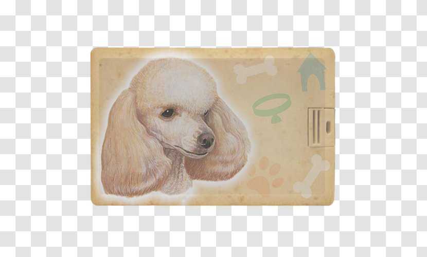 Miniature Poodle Toy Puppy Dog Breed - Pet Transparent PNG