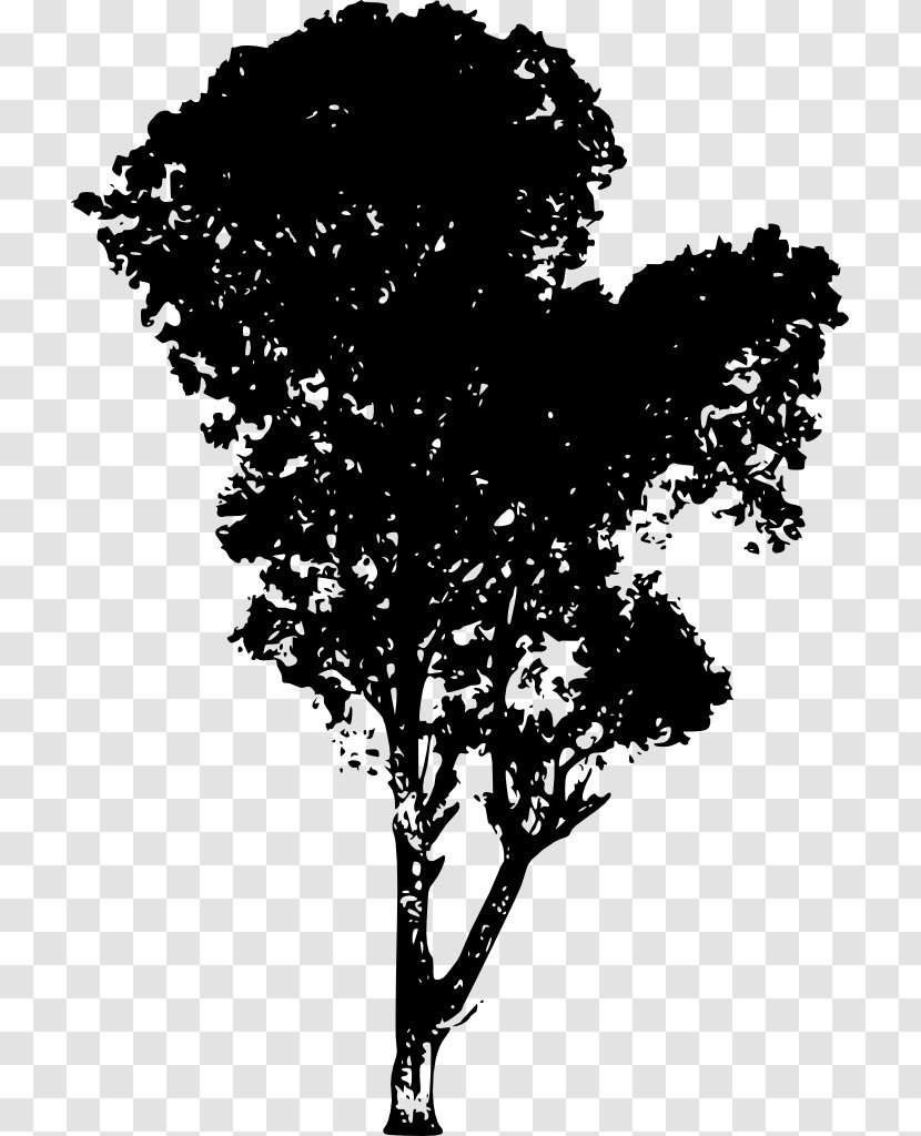 Tree Silhouette Branch Desktop Wallpaper - Monochrome Photography - Vector Transparent PNG
