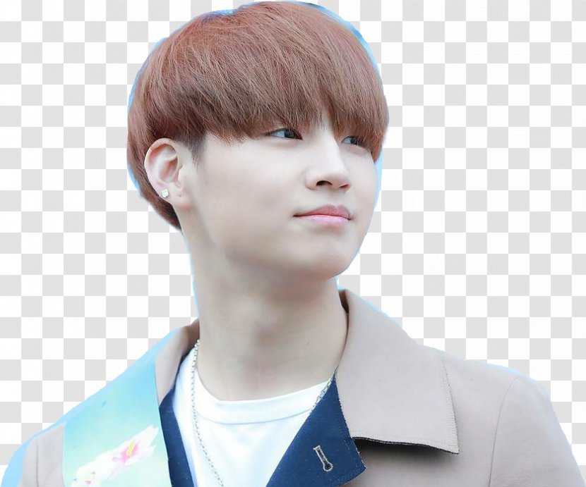 JB GOT7 Sticker Hair - Ear - Yugyeom Transparent PNG