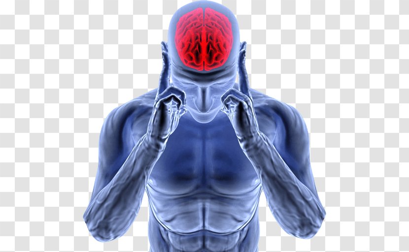 Human Brain Neuroimaging Neuron Neurological Disorder - Silhouette Transparent PNG