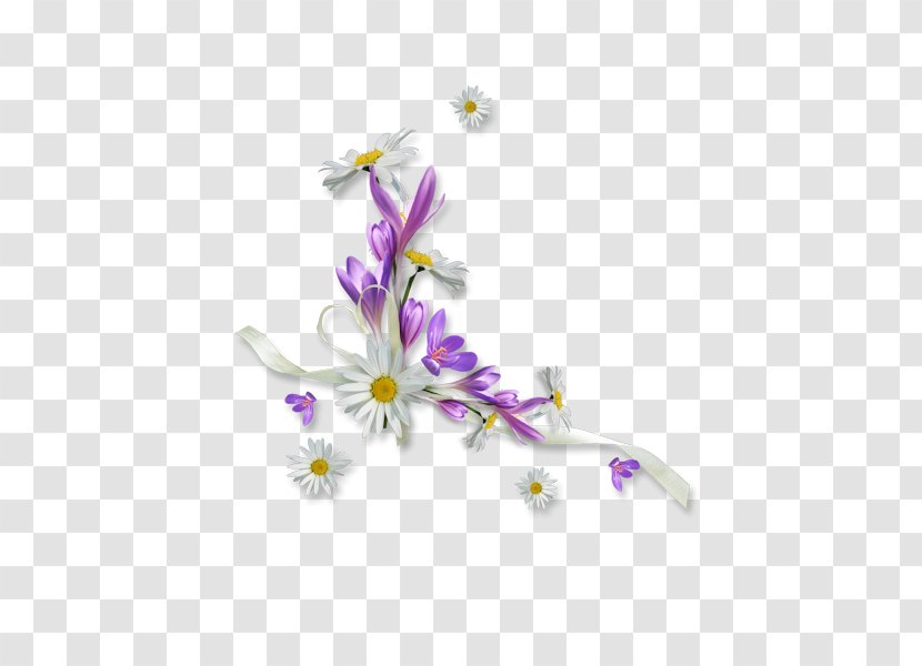 Cut Flowers Floral Design Petal Branch - Flower Transparent PNG