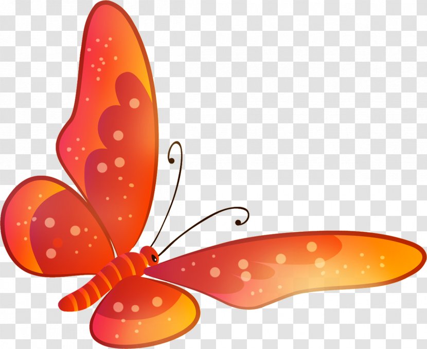 Monarch Butterfly Insect Cartoon Nymphalidae - Orange - Butterflies Float Transparent PNG