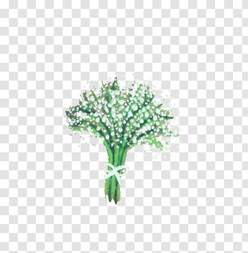 Dandelion Icon - Grass - White Picture Material Transparent PNG