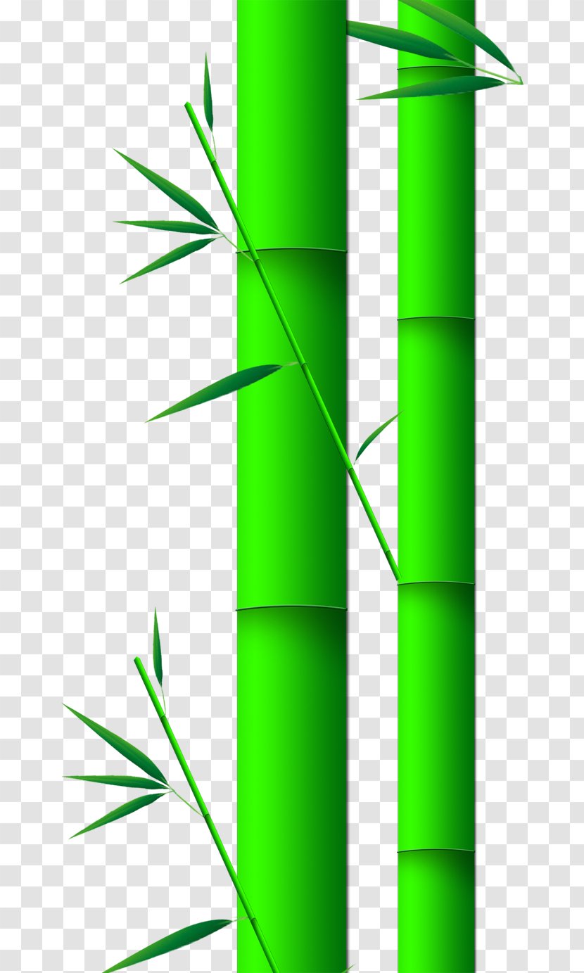 Bamboo Euclidean Vector Leaf - Grass Transparent PNG