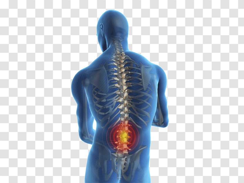 Low Back Pain Injury Human Management - Flower - Lumbar Disc Disease Transparent PNG