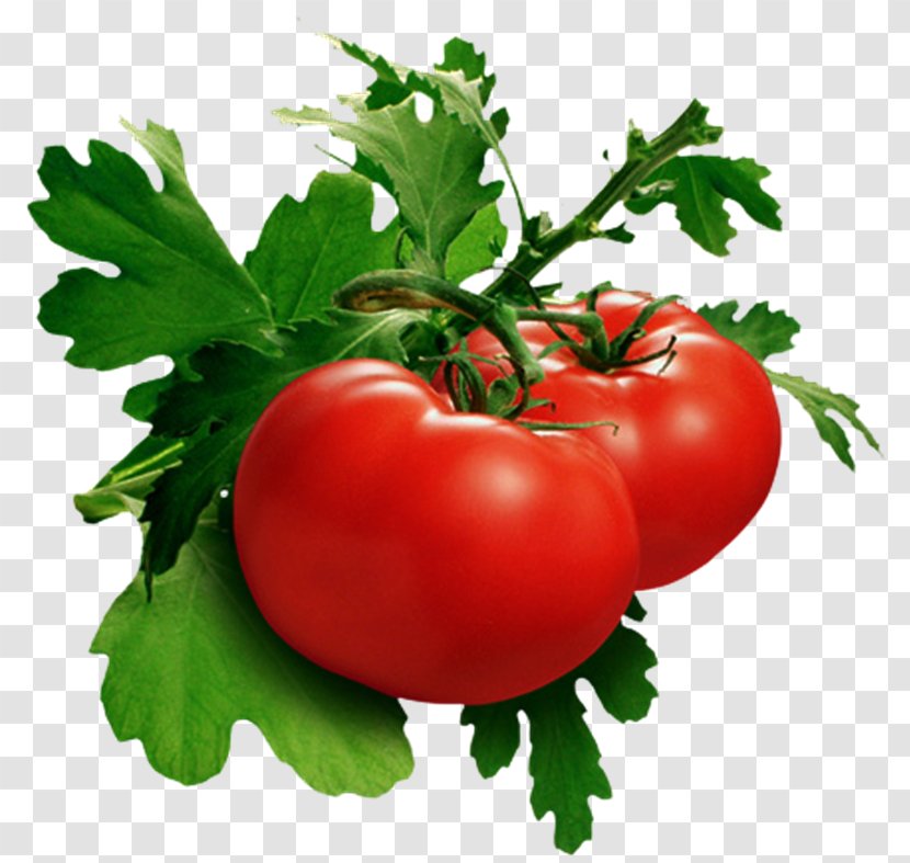 Leaf Vegetable Tomato Soup Food - Potato And Genus - Verdura Transparent PNG