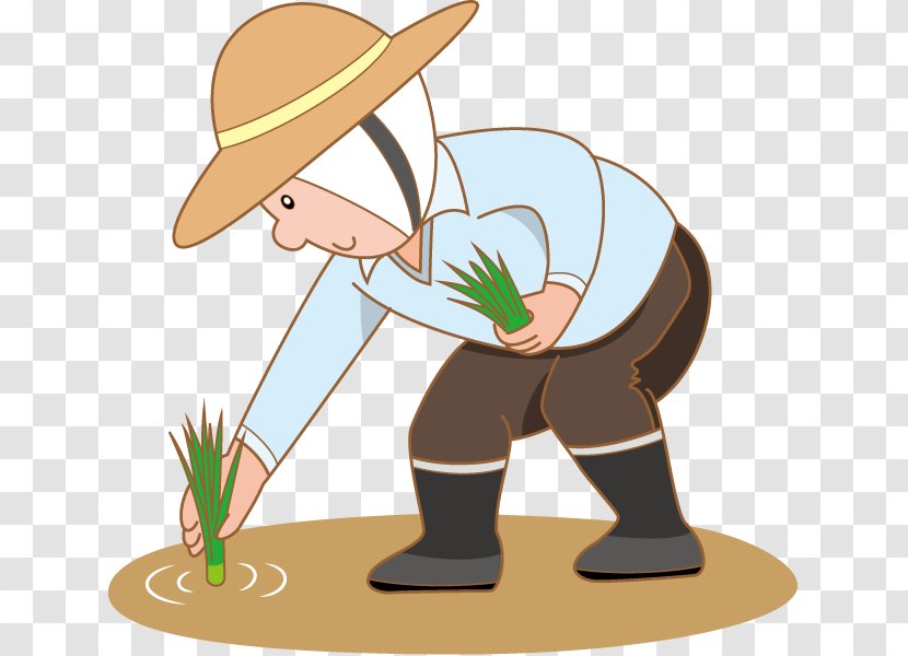 Farmer Rice Paddy Field Clip Art Transparent PNG