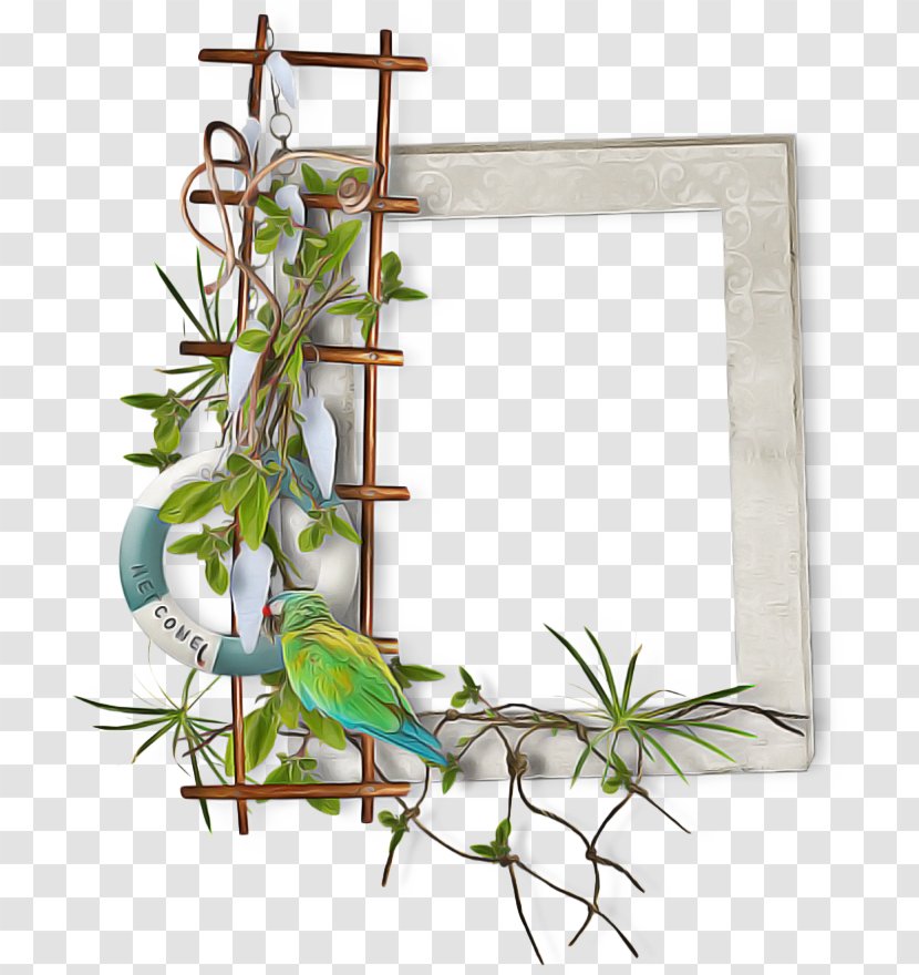 Flower Background Frame - Floral Design - Ivy Transparent PNG