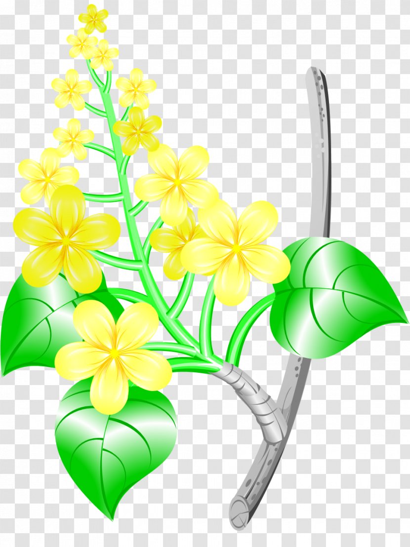 Floral Design Cut Flowers Moth Orchids Plant Stem Leaf - Orchid Transparent PNG