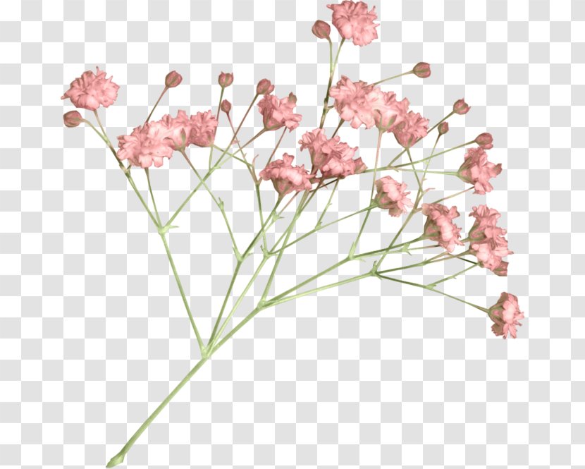 Flower Clip Art - Cherry Blossom - A Bouquet Of Flowers Transparent PNG