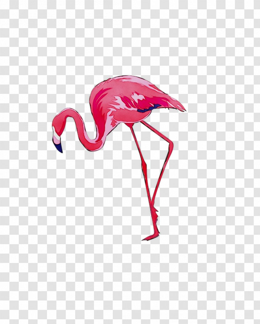 Bird Greater Flamingo Vector Graphics Stock Photography Drawing - Flamingos Transparent PNG