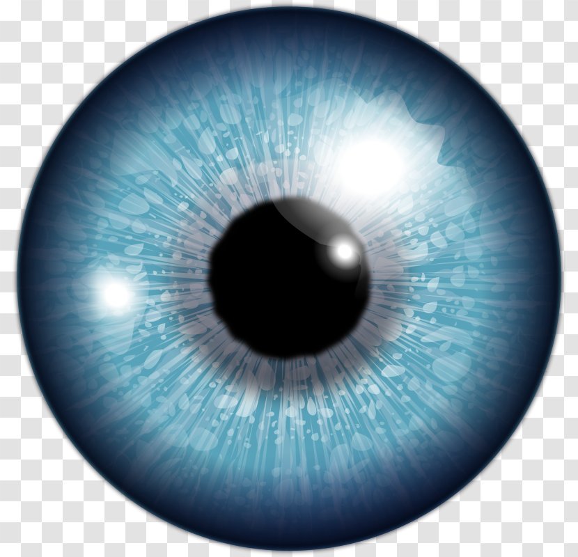 Human Eye Red Lens - Tree Transparent PNG