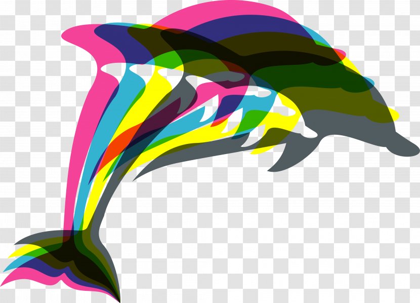 Euclidean Vector Illustration - Illustrator - Dolphins Transparent PNG