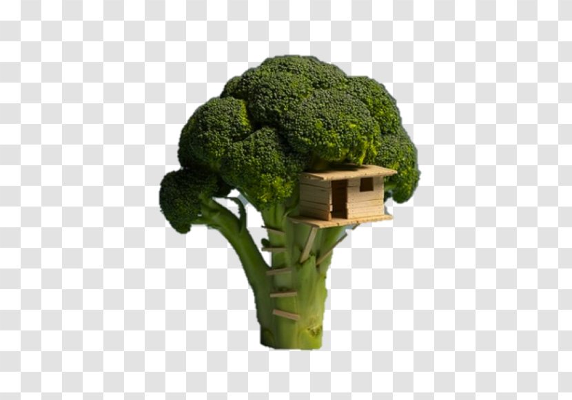 Tree House Veggie Burger Building - Architecture - Brocoli Transparent PNG