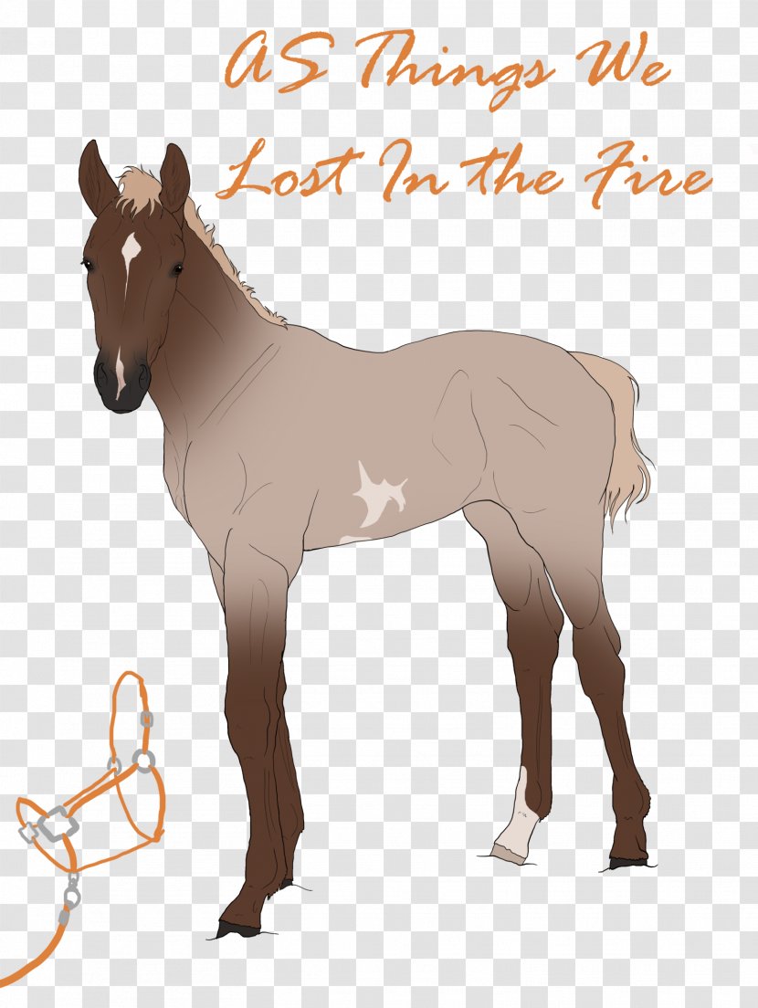 Mule Foal Stallion Pony Mare - Deer - Canter And Gallop Transparent PNG