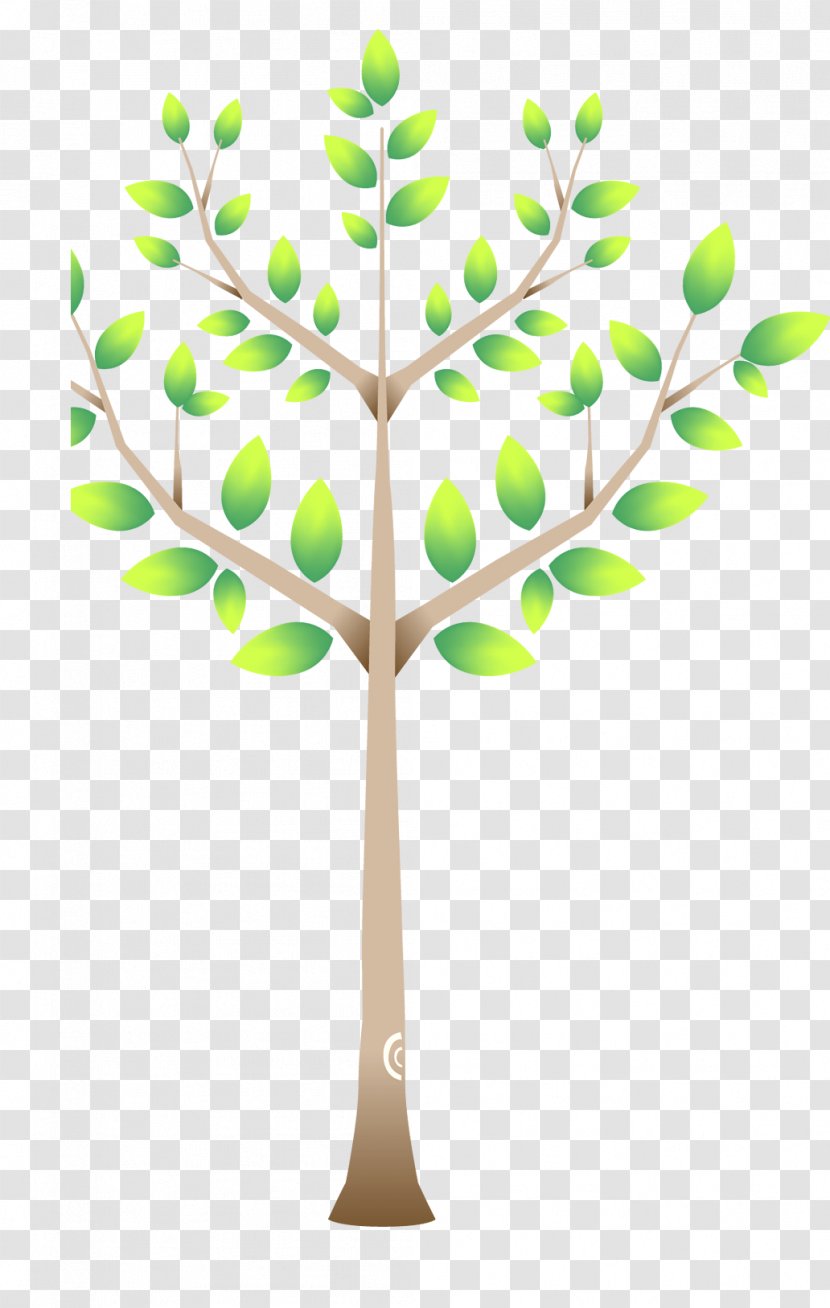 Teachers Day Painting Mu1ef9 Thuu1eadt Drawing - Cartoon Tree Material Transparent PNG