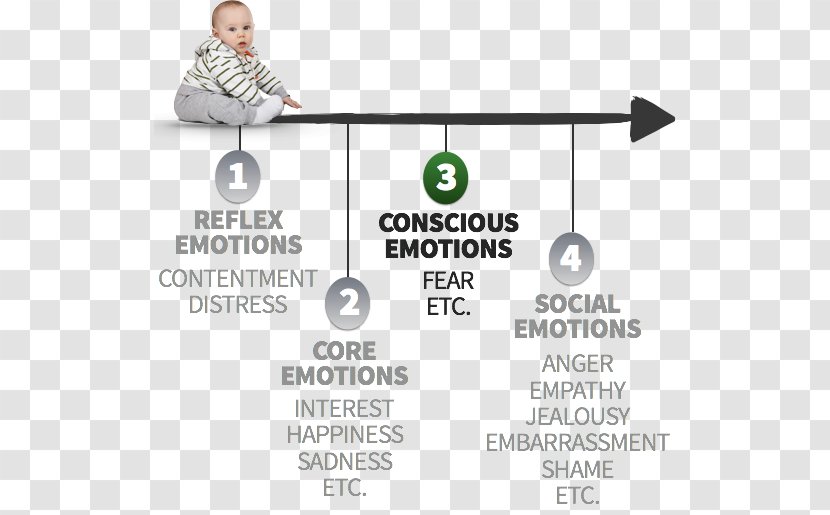 Self-conscious Emotions Consciousness Marketing Human Behavior Transparent PNG