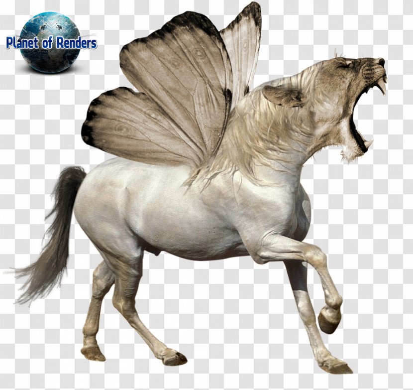 Foal Friesian Horse Andalusian Mare Howrse - Like Mammal - Cavalo Transparent PNG