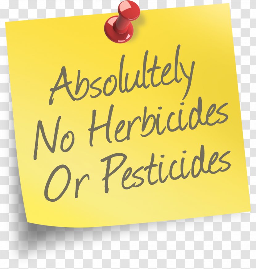 Herbicide Pesticide Weed Digital Marketing - Rectangle - Wheatgrass Transparent PNG