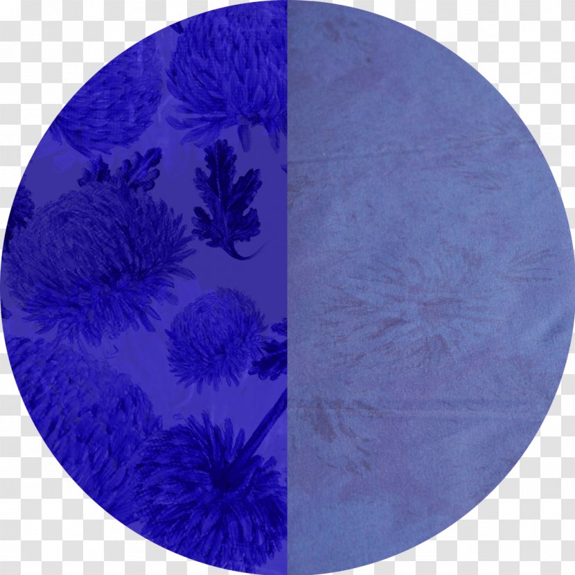 Organism Circle - Purple Transparent PNG