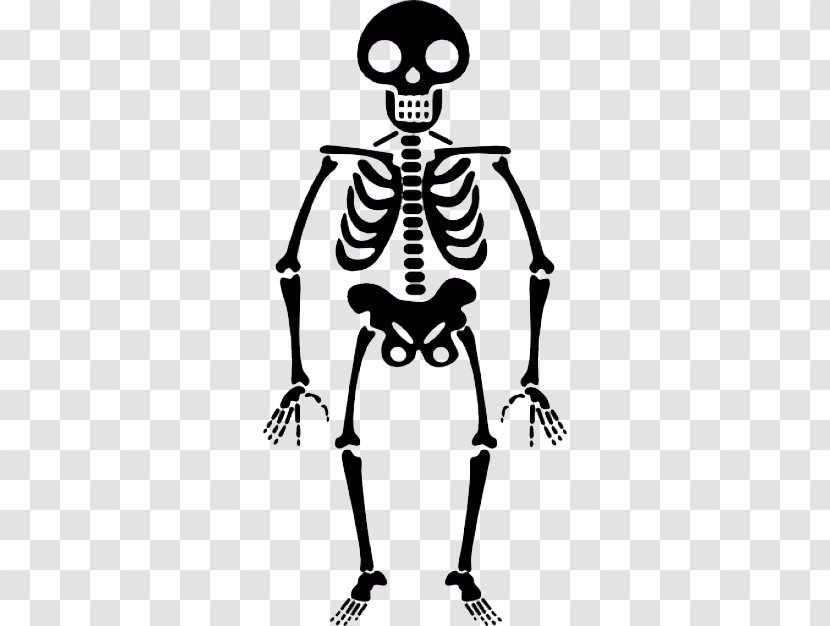 Human Skeleton Icon - Halloween - Transparent Transparent PNG
