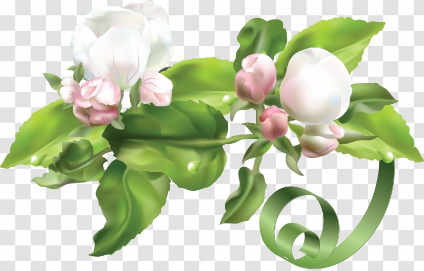 Flower - Computer Graphics - Spring Transparent PNG