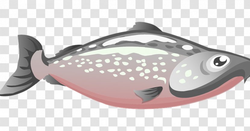 Sushi Cartoon - Fish - Metal Sole Transparent PNG