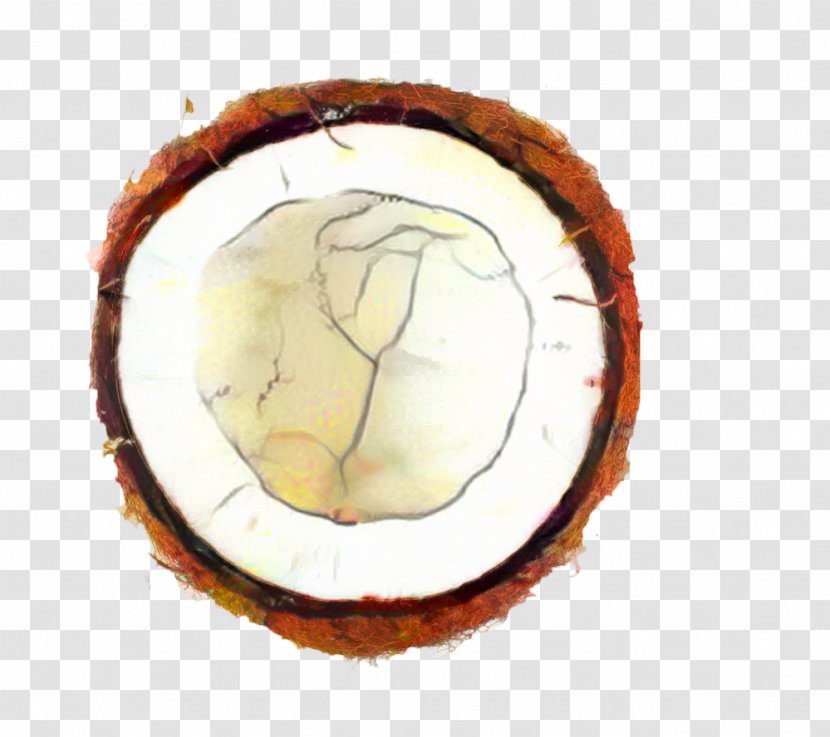 Palm Oil Tree - Coconut - Dish Tropics Transparent PNG