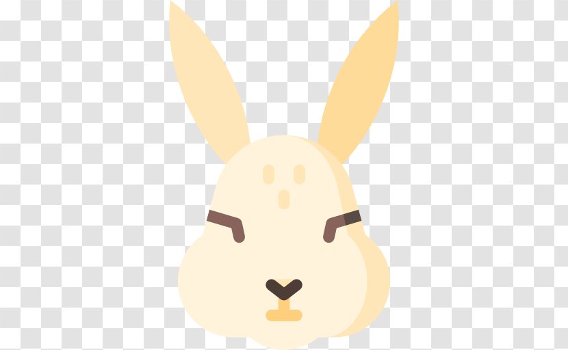 Domestic Rabbit Hare Easter Bunny Whiskers - Snout Transparent PNG
