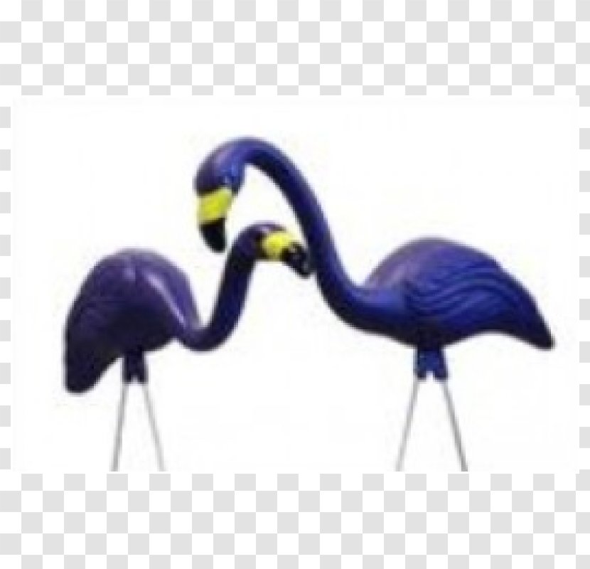 Flamingo Baltimore Orioles Bird Ravens Lawn Ornaments & Garden Sculptures - Water Transparent PNG