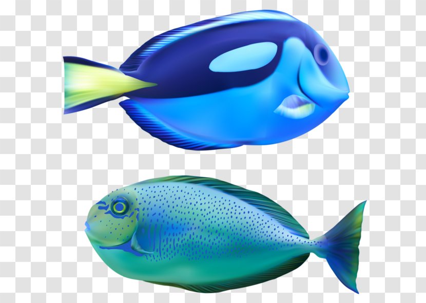 Vector Graphics Clip Art Fish Image - Seafood Transparent PNG