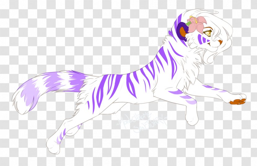 Whiskers Tiger Cat Canidae - Paw Transparent PNG