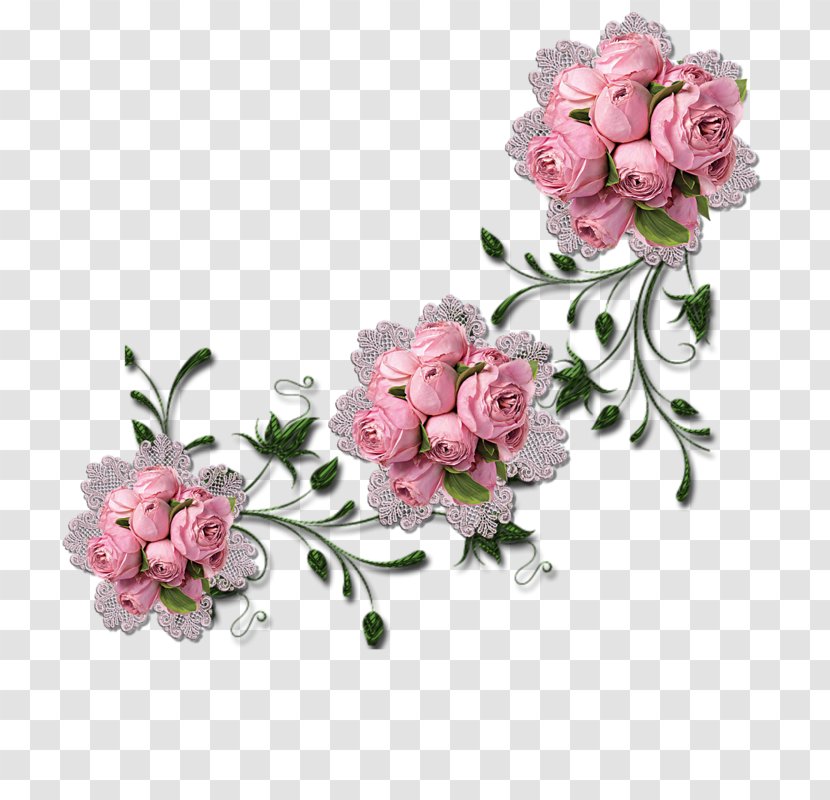Garden Roses Meaning Name Flower Infant Transparent PNG