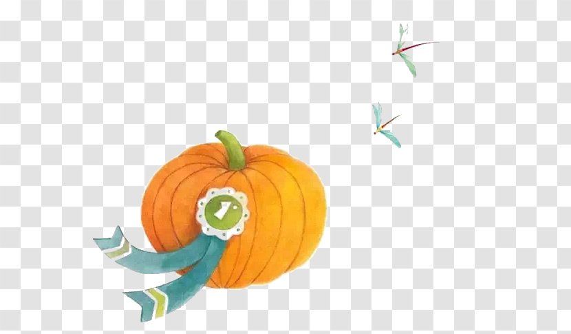 Calabaza Pumpkin Orange Download - Gratis Transparent PNG