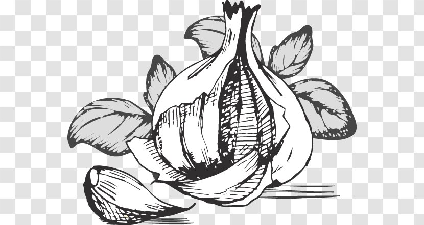 Garlic Food Vegetable Clip Art - Tree - Fresh Transparent PNG