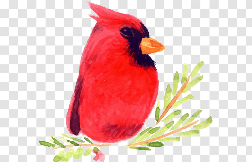 Bird Watercolor Painting Illustration - Songbird - Hand-painted Christmas Cartoon Red Transparent PNG