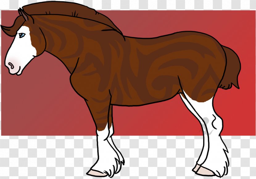 Foal Mare Stallion Mustang Colt - Slump Background Transparent PNG