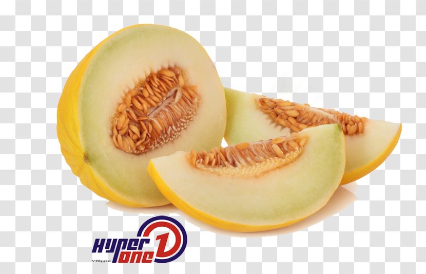 Honeydew Canary Melon Cantaloupe Watermelon Transparent PNG